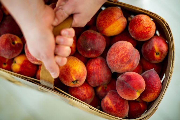 Hands holding a basket of peaches