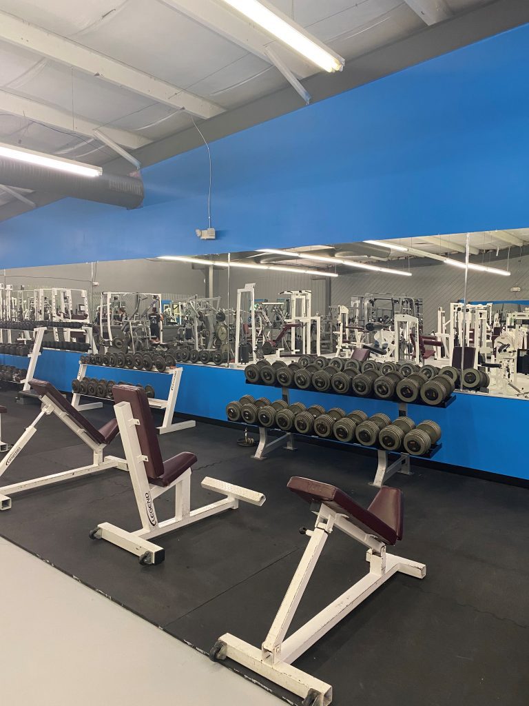 fitness equipment at FitCo Health Club