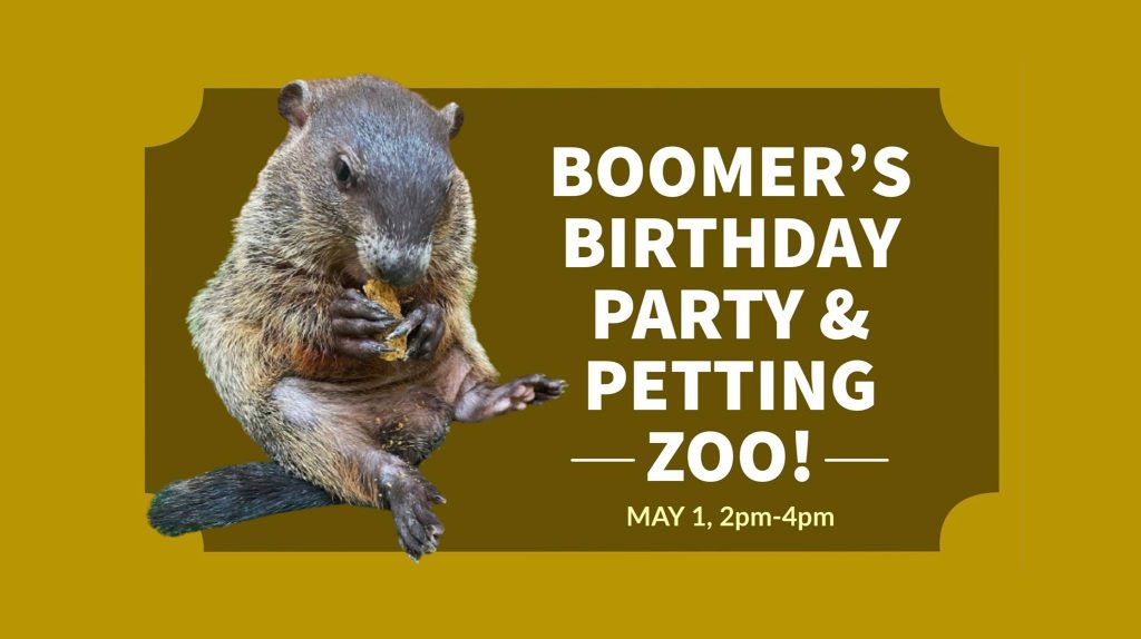 Boomer's birthday party and petting zoo at OBC