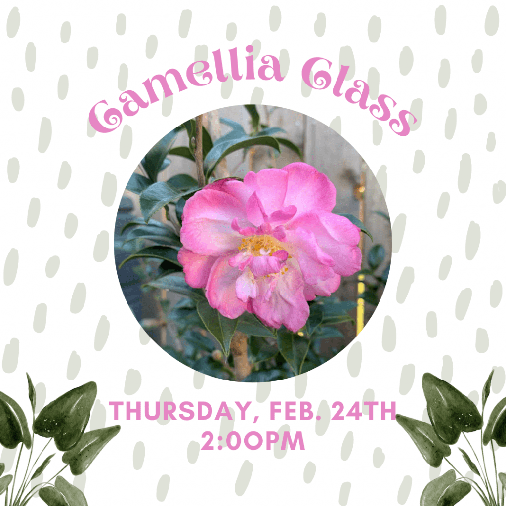 Camellia Class flyer